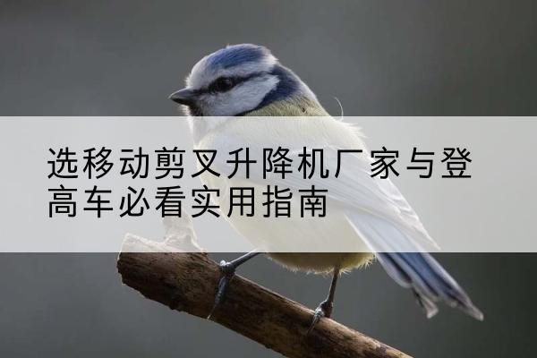 西平电动升降机厂家-选移动剪叉升降机厂家与登高车必看实用指南