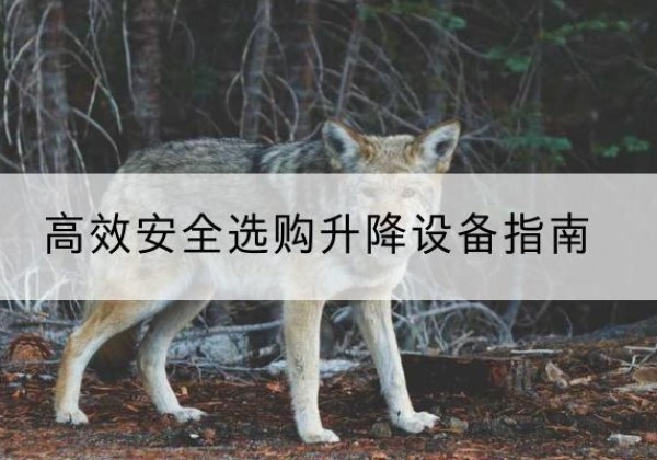 西平升降货梯厂家推荐-*安全选购升降设备指南